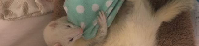 rito11's header image