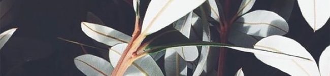 rukam's header image