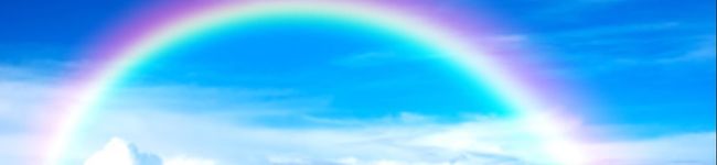 ク〜ママン's header image