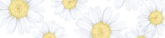 クックDJIUTY☆'s header image