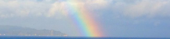 HAMAMOCO's header image