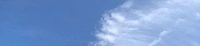 ☆★ぼのぼのちゃん's header image