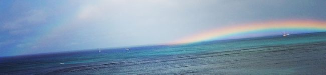 ☻藤丸's header image