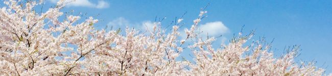 ぺっとりさん's header image