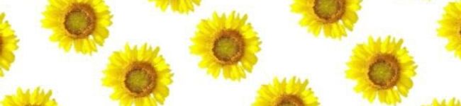 AJMＤ's header image