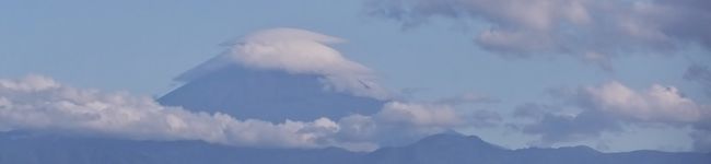 arigatou's header image
