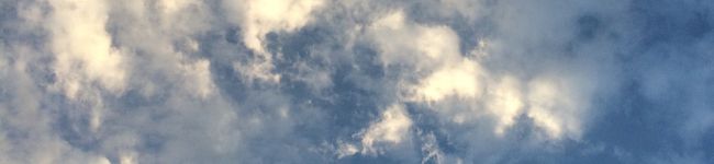 ゾイニャム's header image
