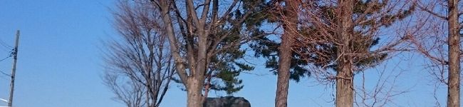 ありあべりー's header image