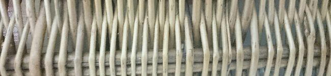mignon_osc's header image