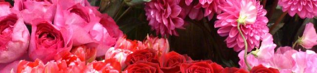 MIZU14's header image
