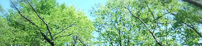 あらまあ55's header image
