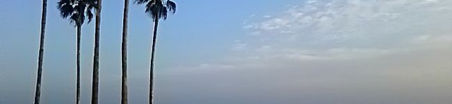 sunujiro's header image