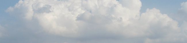 ひっこさん's header image