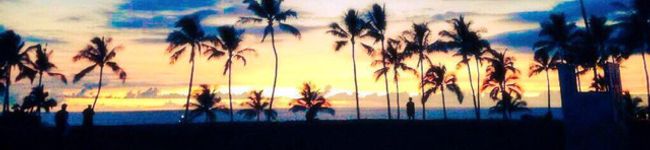 Alisonmine's header image