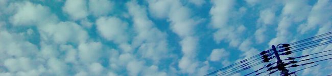 myayady's header image