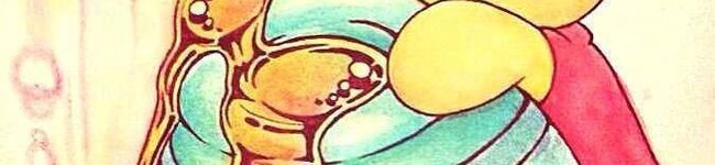 くまのPoohたん☆'s header image