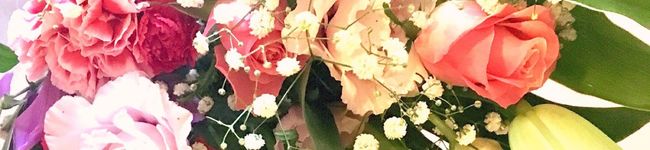 Yuuu1103's header image
