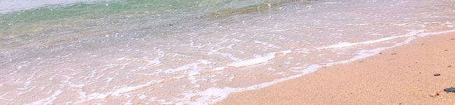 yuki_1703's header image