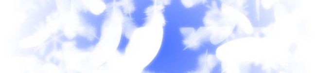 ゆめからす's header image