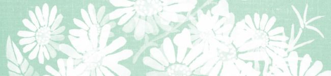 3754098's header image