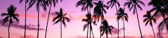 クックGXSSSK☆'s header image
