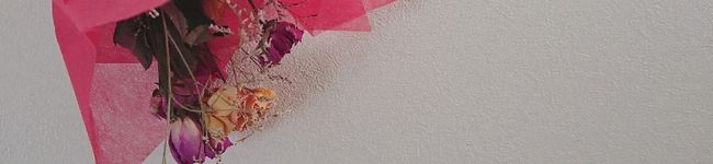 kisaaa's header image