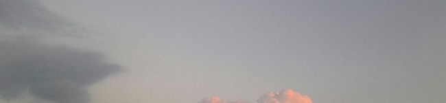 ✿セイさあま✿'s header image