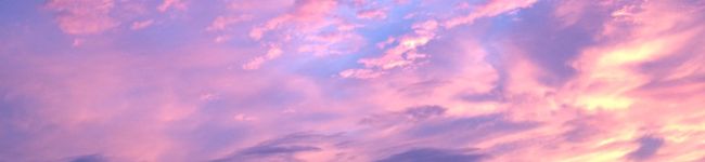 conina's header image