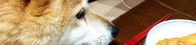 さかとす's header image