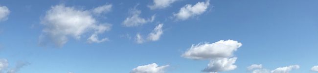 ソラのレシピ's header image