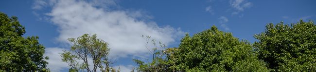 feliy39's header image