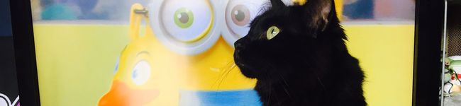 かえるOIOI's header image