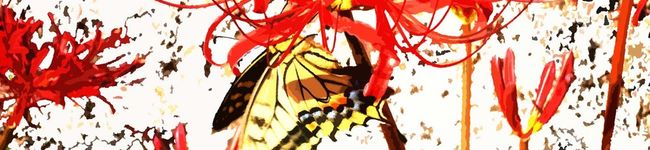 ＴＹＲ４ＡＭＵ's header image