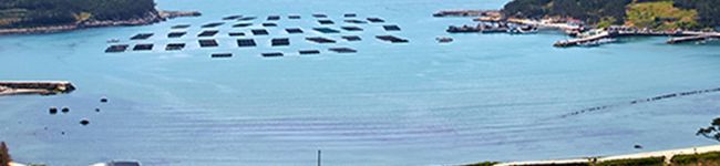 ミラヂヂミ's header image