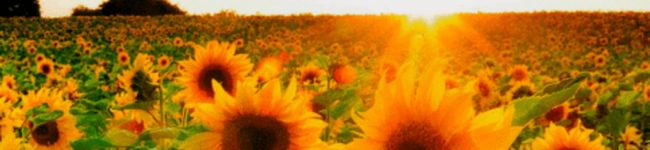 0_7☆'s header image