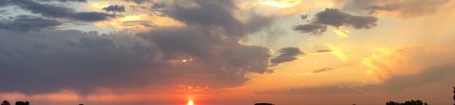 EmMa3_rose's header image