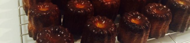 nanax00073's header image