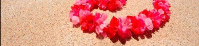 micca13's header image