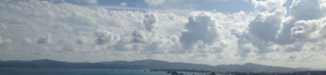 mーnーtーy's header image