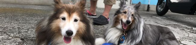 まりずキッチン's header image