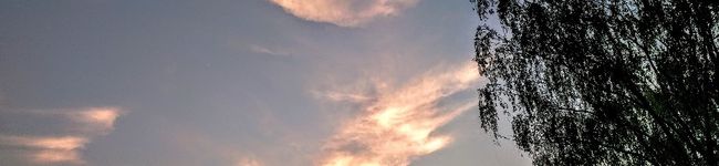 むぽむぽぷりん's header image
