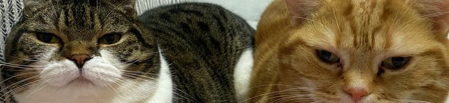 るーぴー♡'s header image
