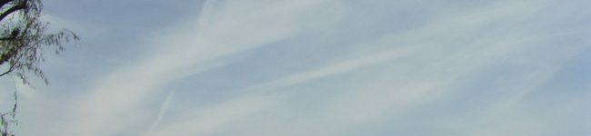 shi-mo's header image