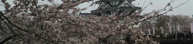 ☆けいなゆ❤'s header image