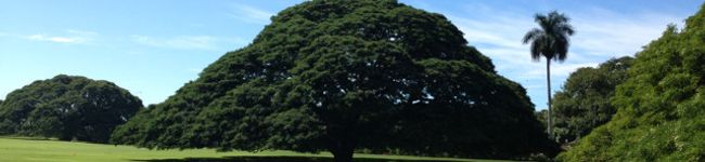 barNoaju's header image