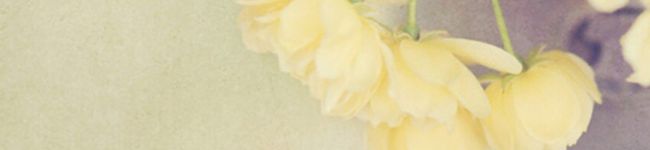 ✾cherry✾'s header image
