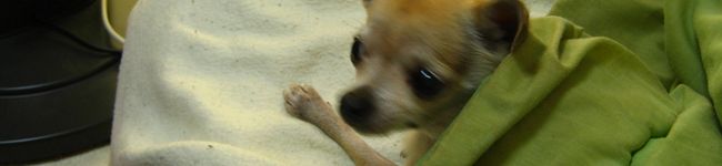 ｍｉｌｏ's header image