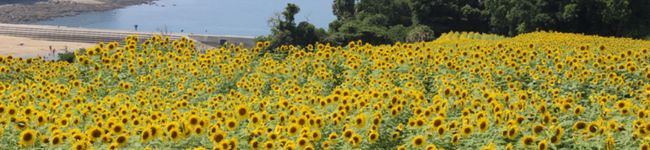 Ｒママ☆'s header image