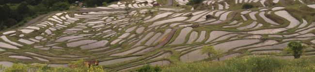 ภาพปกโพรไฟล์ของ おののけ姫