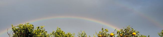 ysk1285's header image
